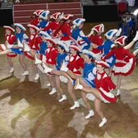 EBM - 69. Saison - Fasching für Menschen mit Behinderung-Veranstaltung 6