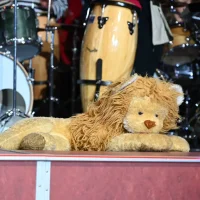 EBM - 69. Saison - Fasching für Menschen mit Behinderung-Veranstaltung 13