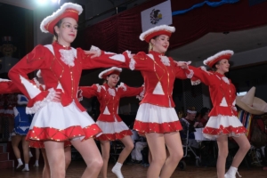 Fasching für Menschen mit Behinderung-2023113