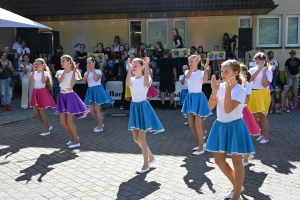 Sommerfest der Vereine 2026-00024